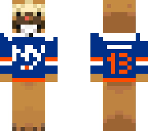 islanders alternate bidoof
