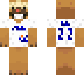 mets bidoof (juan soto)