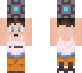 chell puzzle cube
