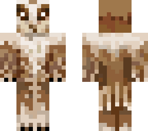 owl