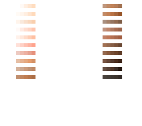 skin color base