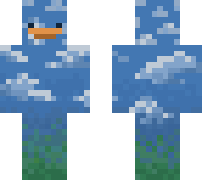 cloud duck?