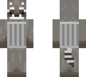 racoon