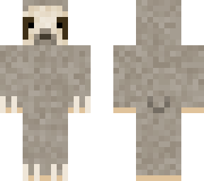 grey sloth