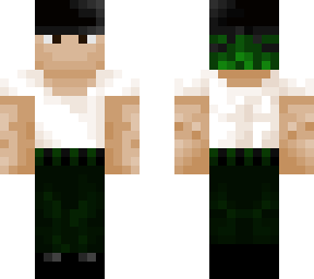 pre-timeskip zoro