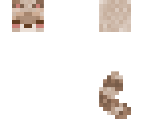 racoon model