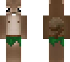 jungle squirrel