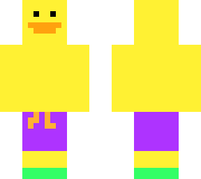 beach duck