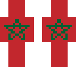 flag of moroco!