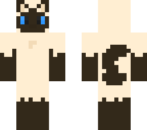siamese cat