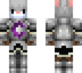 the knight