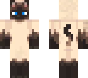 siamese cat