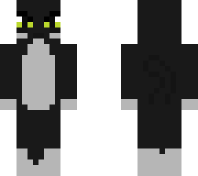 my cat raven