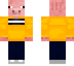pig with sweater