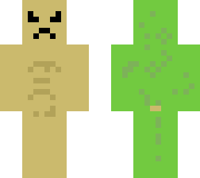 timmy turtle