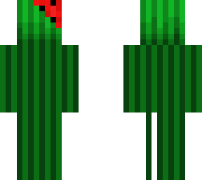 melon guy