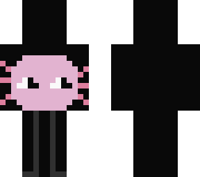kinito pet