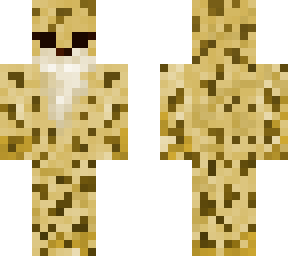 cheetah