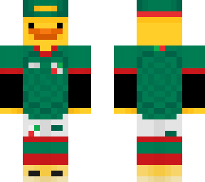 mexico duck