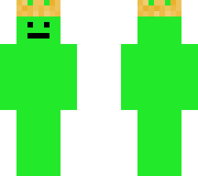ned fland skin