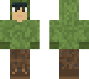 plains biome fs