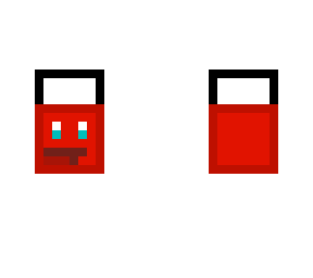 the cam skin