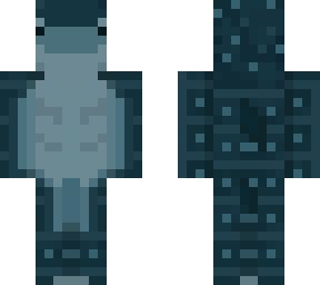 whale shark man