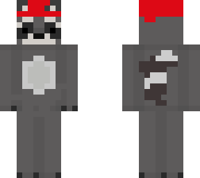 beanie racoon