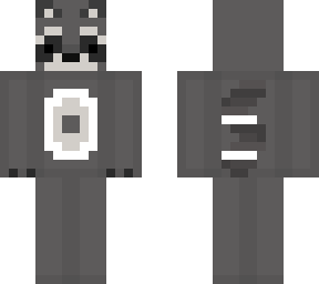 raccon