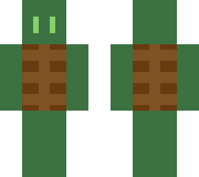 turtle 9898