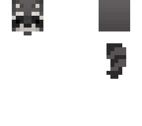 raccoon head and tail