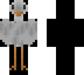 bird grey cool