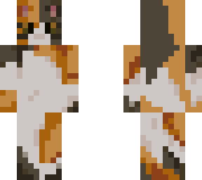 calico