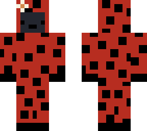 ladybug