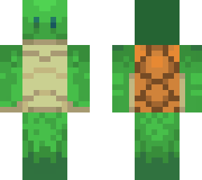 turtle