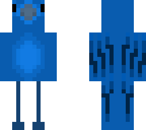 indigo bunting