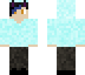 snom hoodie