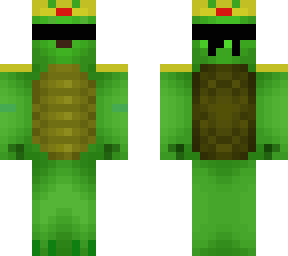 turtle