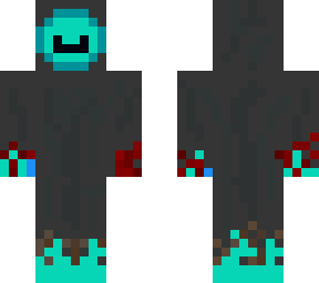 the follower