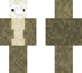 barn owl