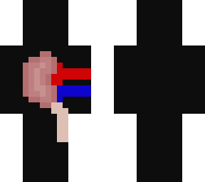 kidney