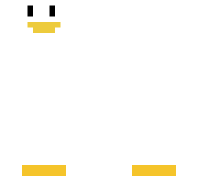 seagull