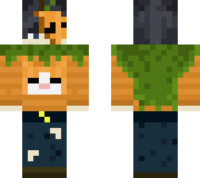 pumpkin cat