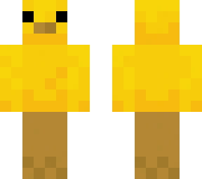 baby chicken