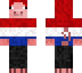 dutch pig