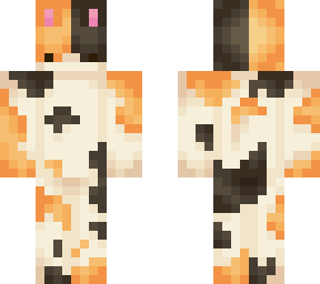 goob the calico cat