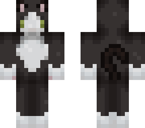 zeros - tuxedo cat