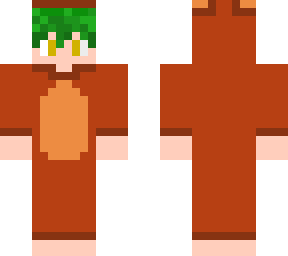 mapache