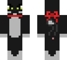 kitty cat