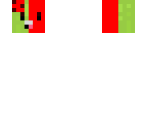 watermelon | skin base